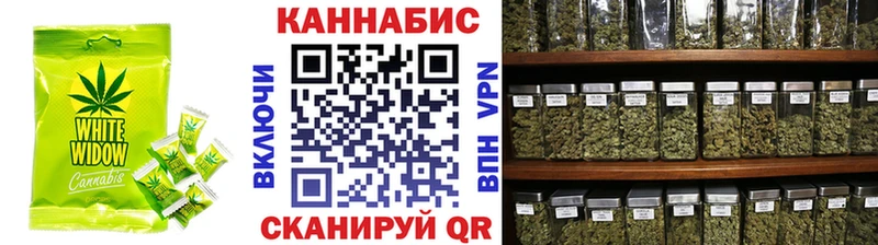 Canna-Cookies марихуана  как найти закладки  Могоча 
