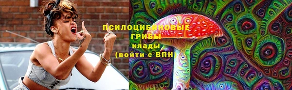 соль ск Верхний Тагил