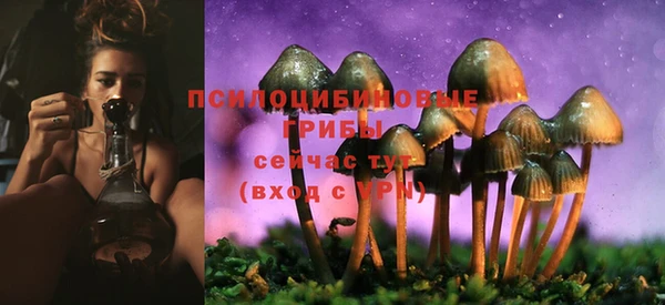 твердый Верея