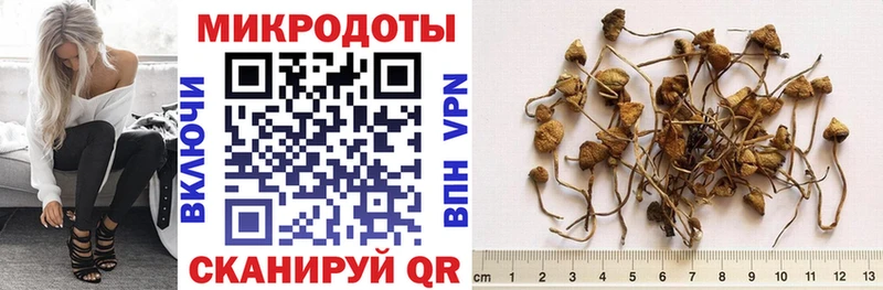 Псилоцибиновые грибы прущие грибы  как найти наркотики  Могоча 