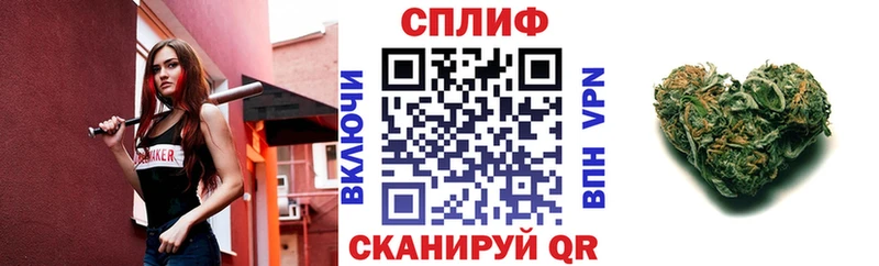 купить наркоту  Могоча  Бошки марихуана индика 